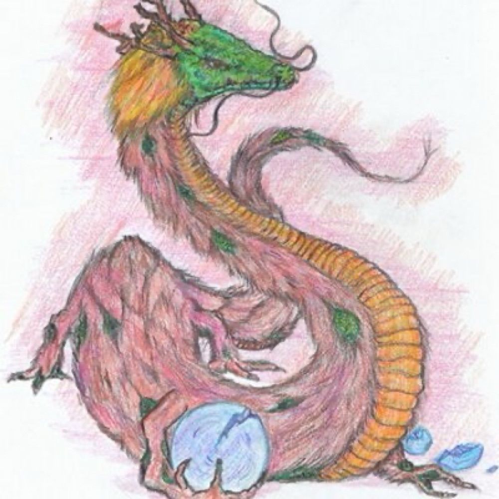 Saizwong/жунжи