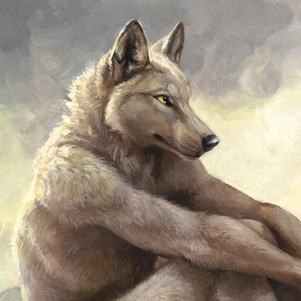 Aýdan ΘΔ/☉∇ 🪶🐺