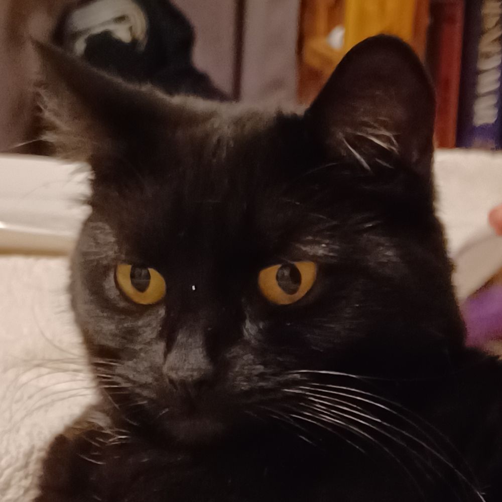 victor