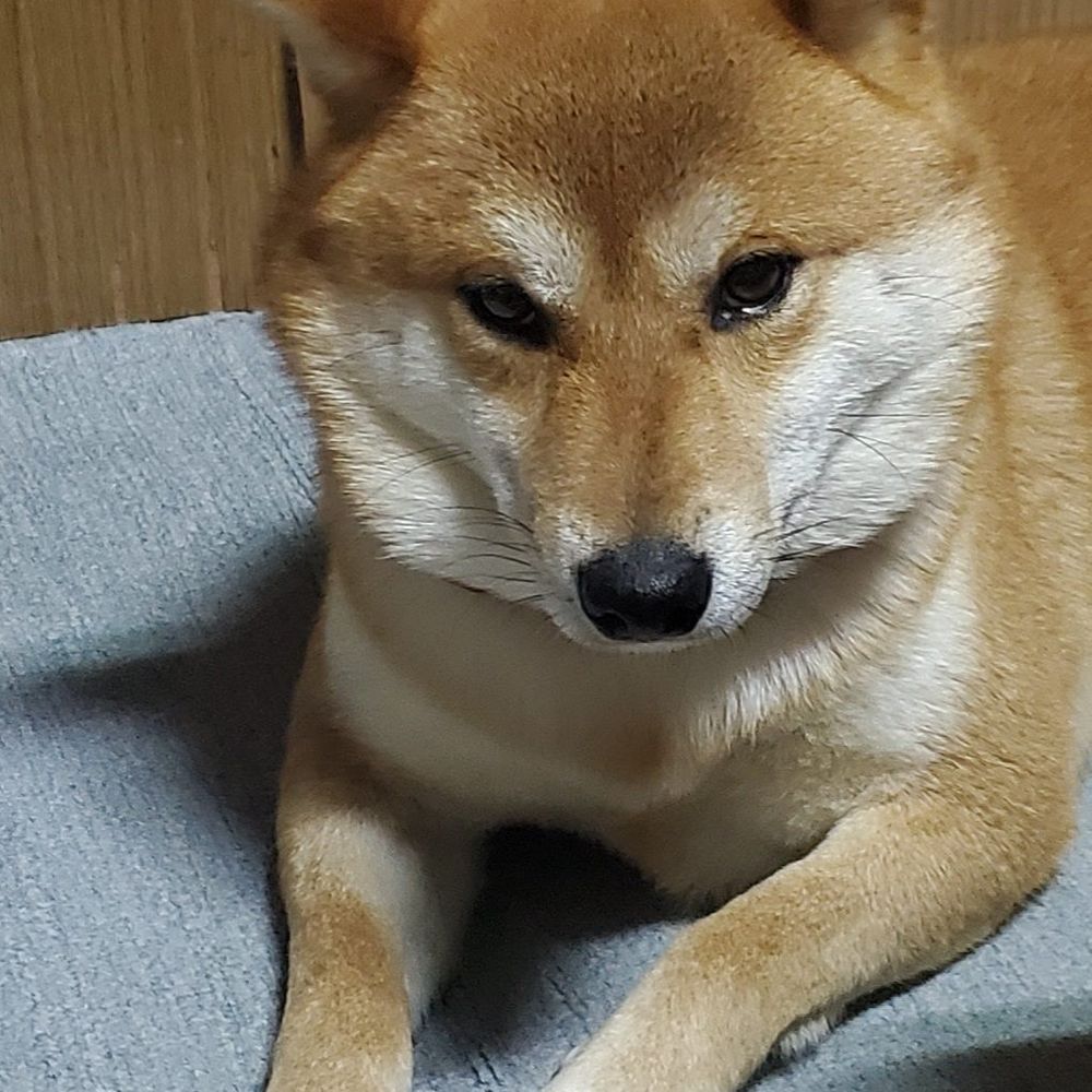 ひれん
