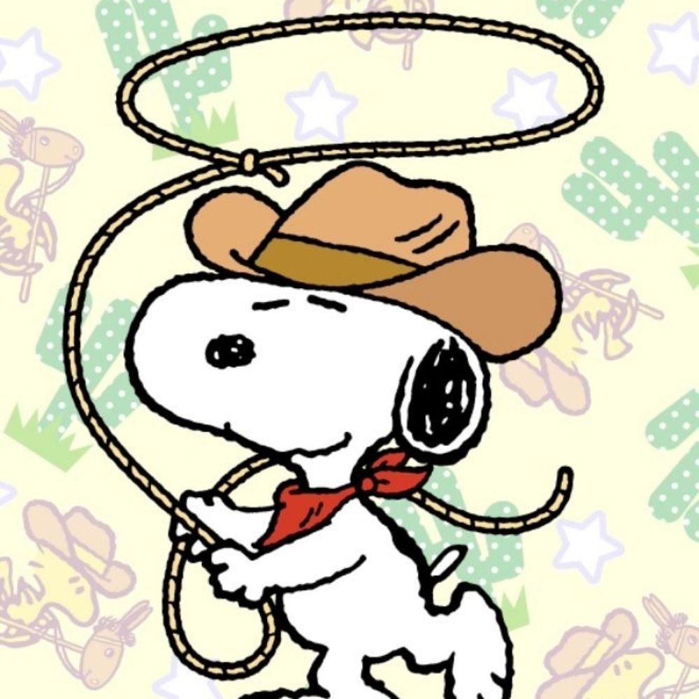 cowboy like vi