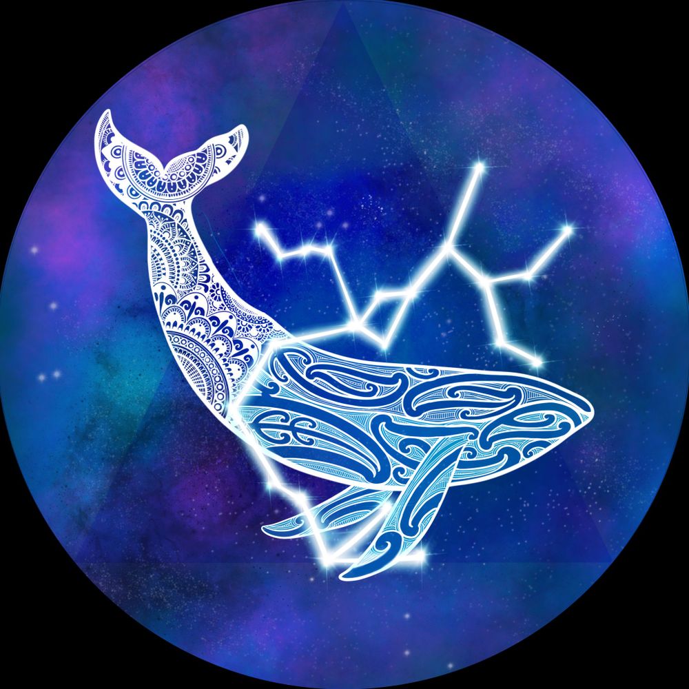 PreferredWhale6