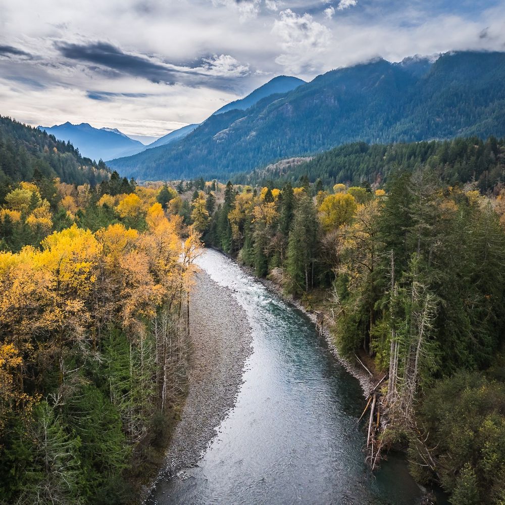 Elwha Legacy Forests