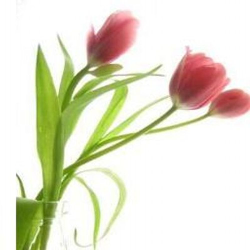 Asthma & Allergy Specialists, PC