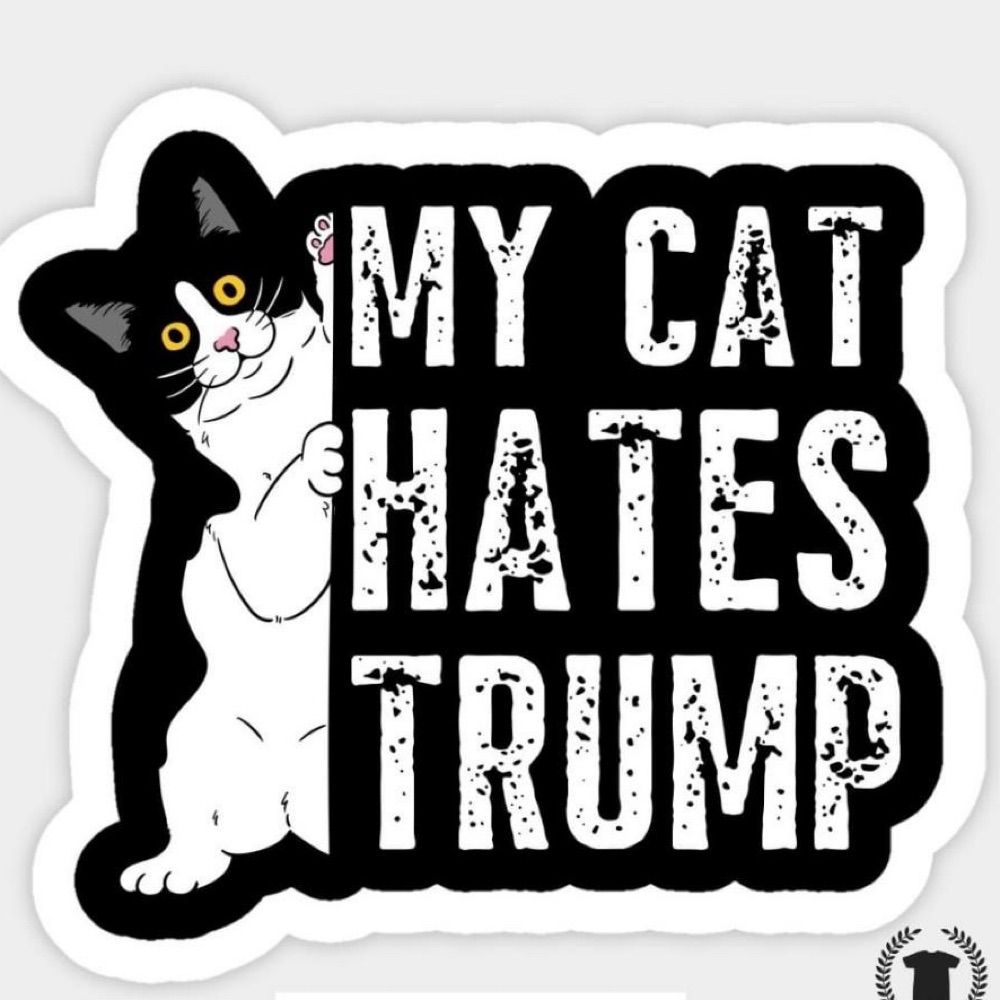 Profile picture madpussycat2438.bsky.social