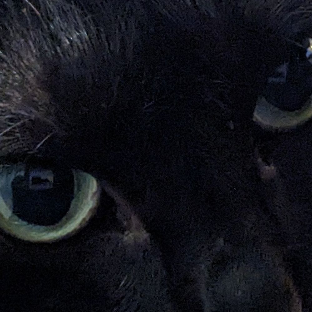 黒猫亭どん兵衛