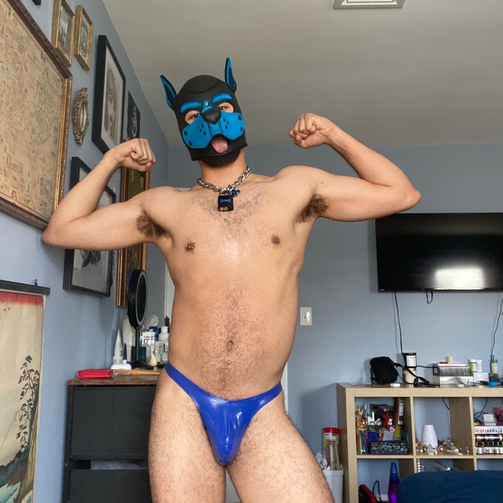 Pup Lindo