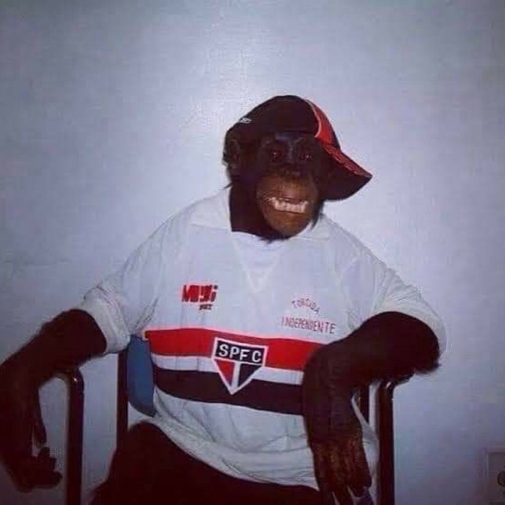 vininho 🇾🇪