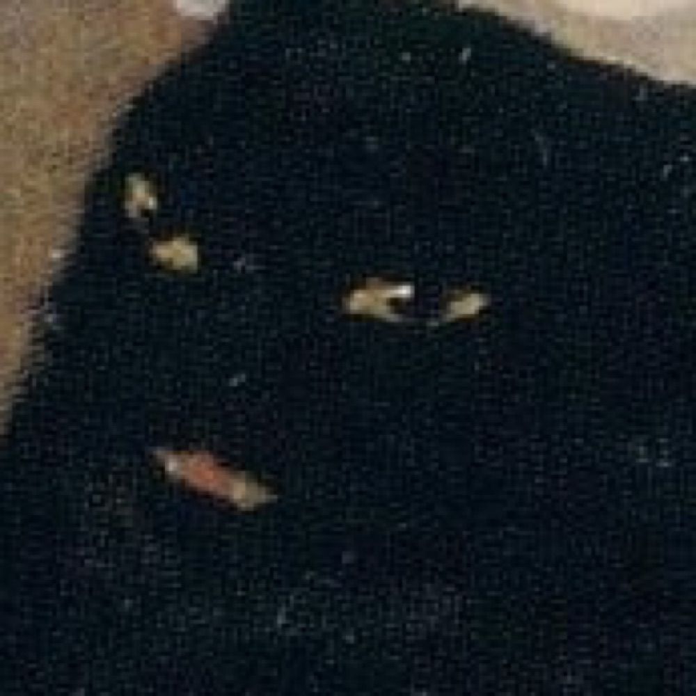 Mana