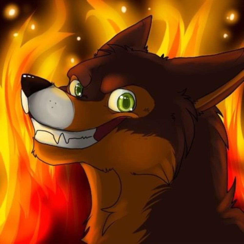Kazuki Wolf