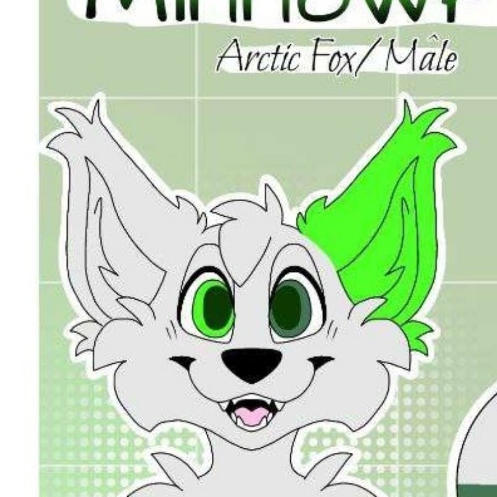 MinnowFox