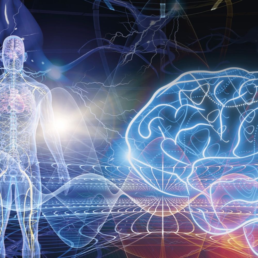 Biological Psychology (Journal)
