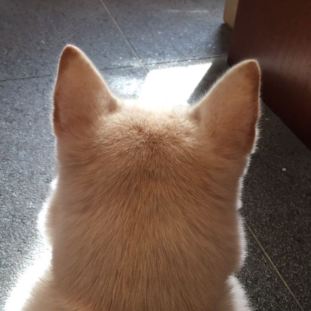 최미자 어르신