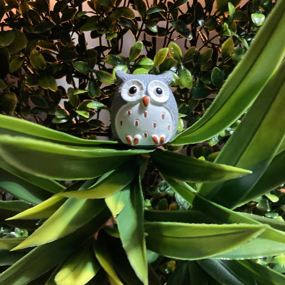 Opera Owl