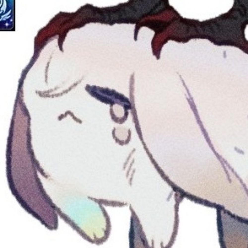 콩