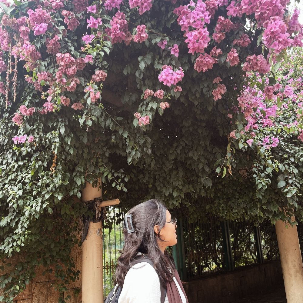 Nida Patla