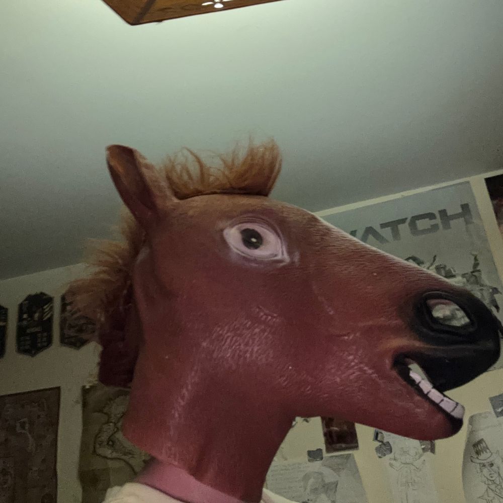 RichardTheHorse