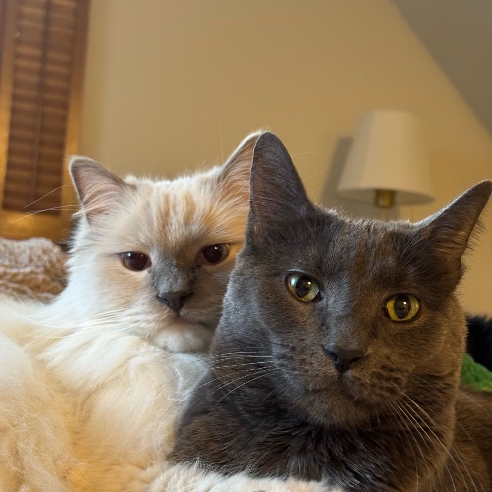 Tootie and Shmoo