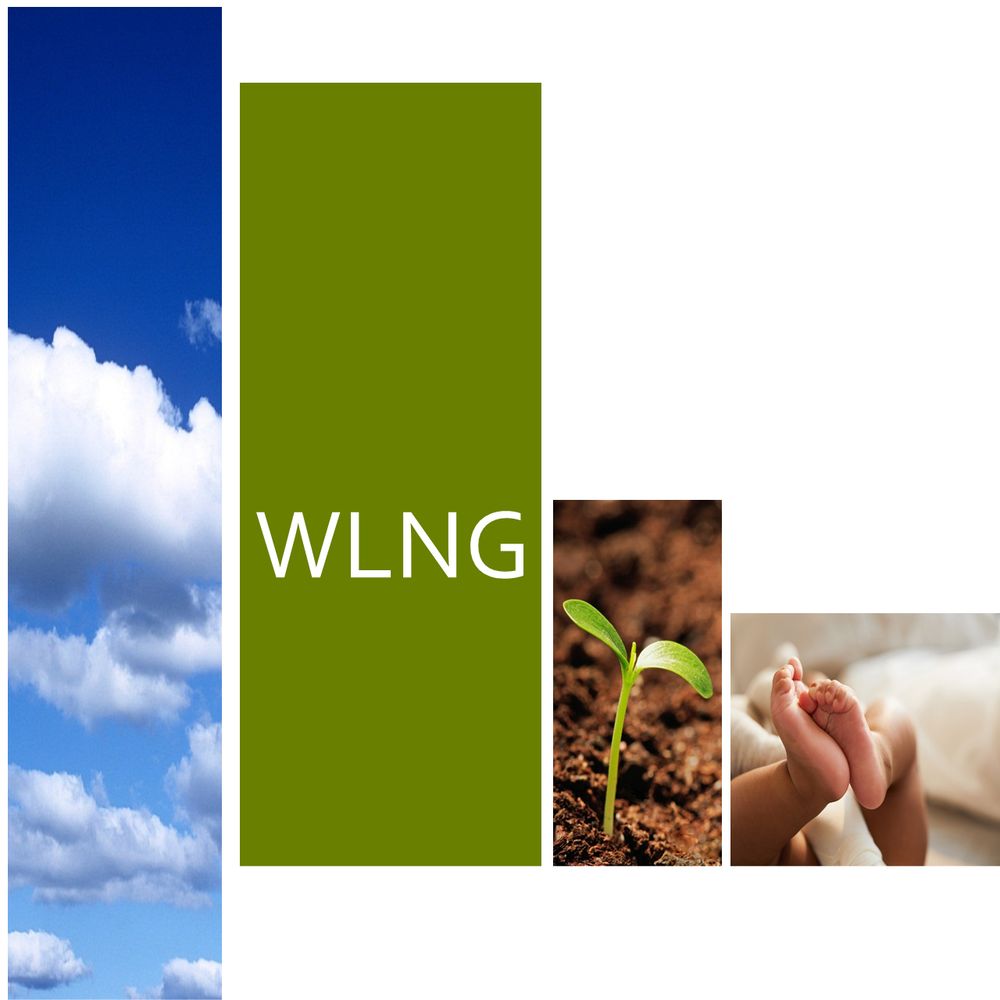 Warwick Lifecourse and Neonatal Group