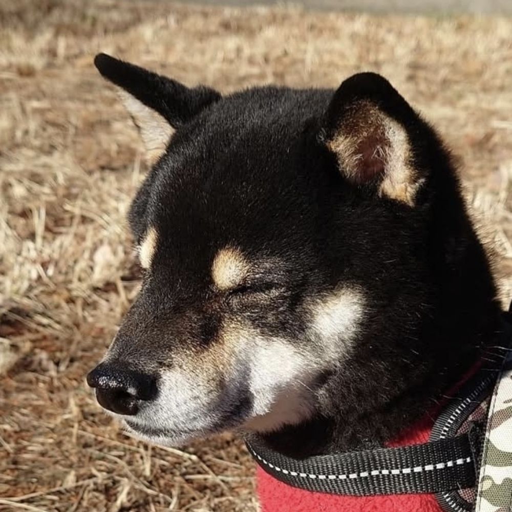 くうのすけ