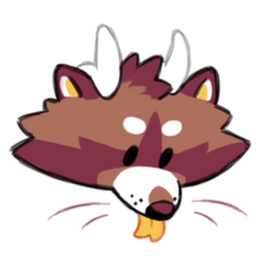 Coopyboopy 🦝