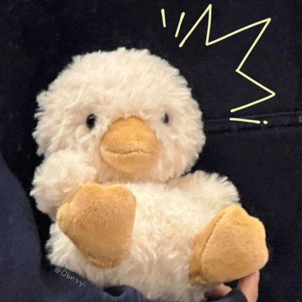 🐣💬
