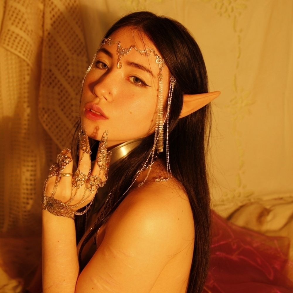 armoured elf