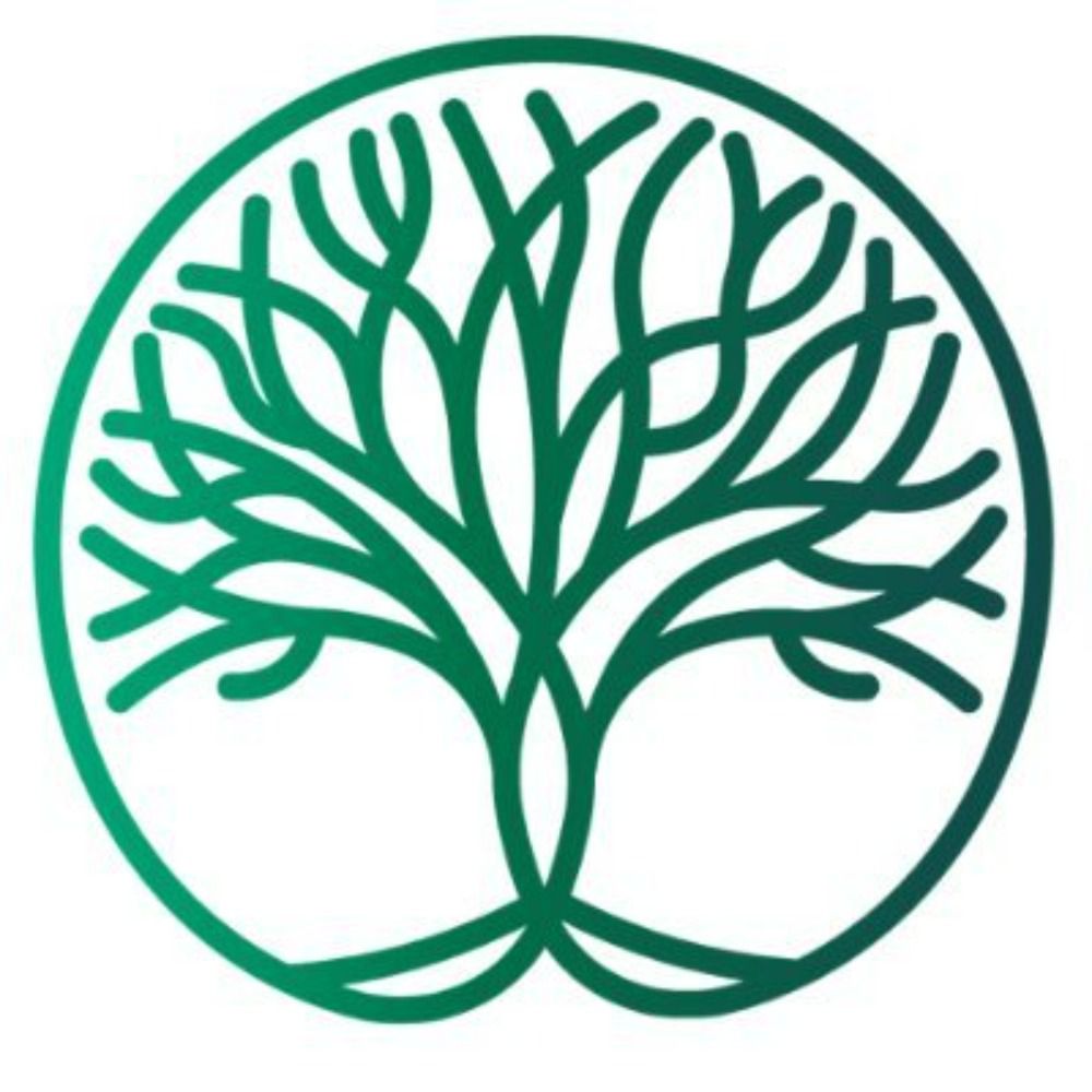 Cultural Evolution - Transformation Fund