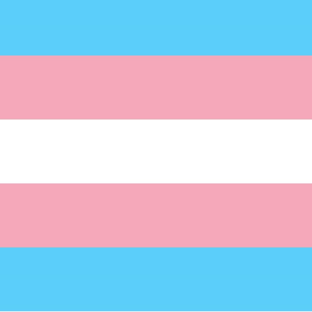 Trans Awareness