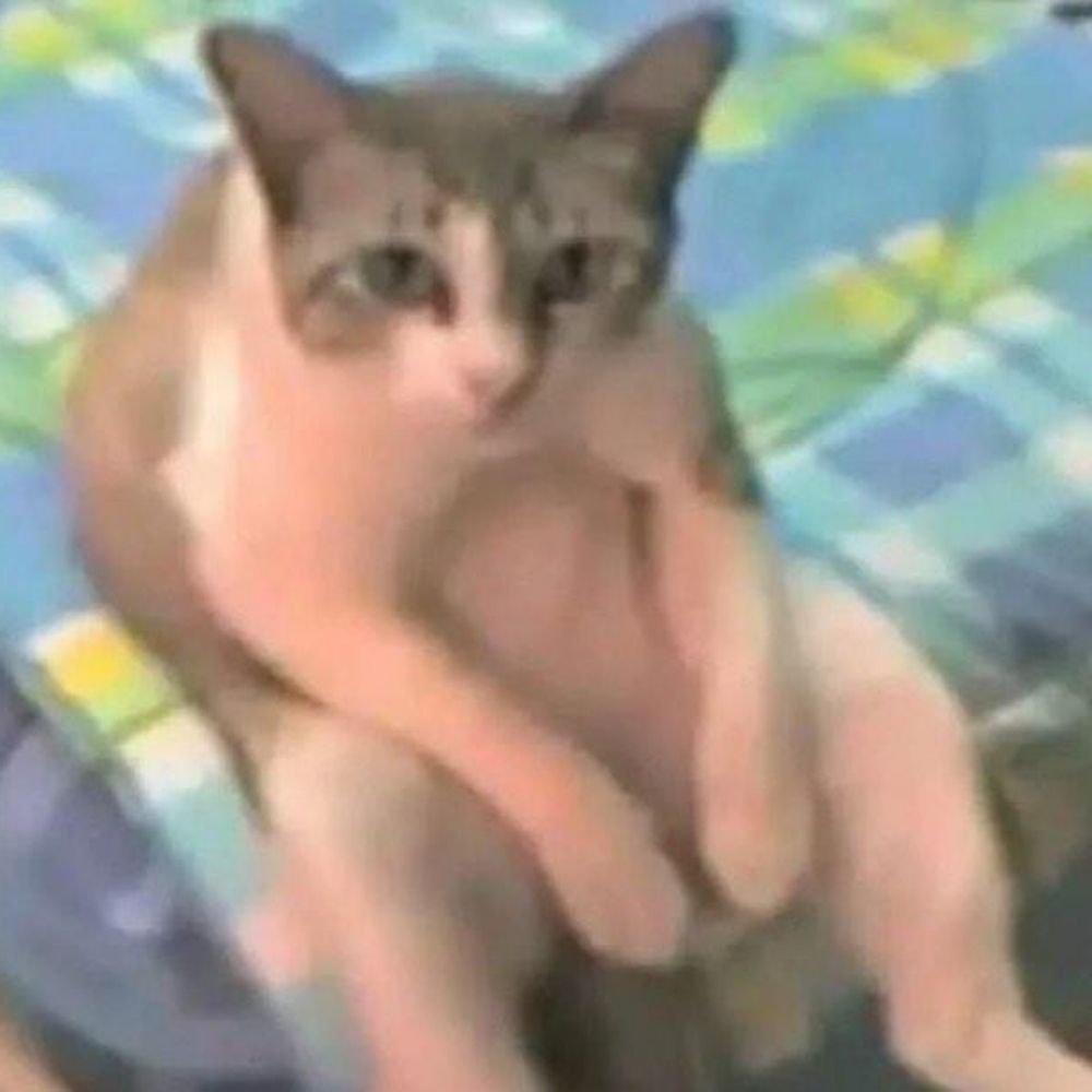 Zoe 