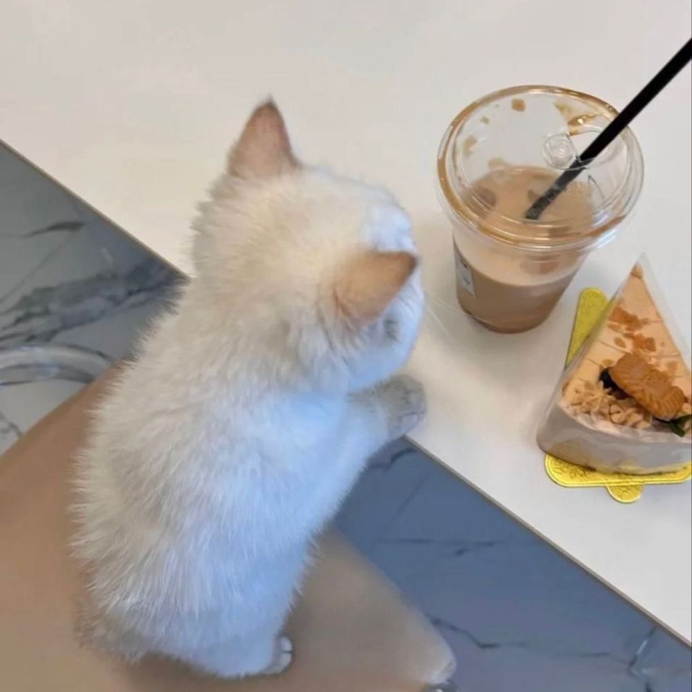 Bun of Cinnamon⁷ ✨️🌌🪐