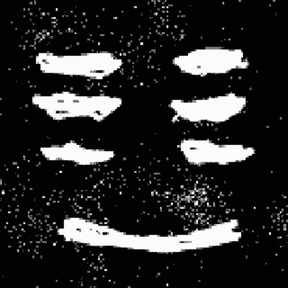 noisebody