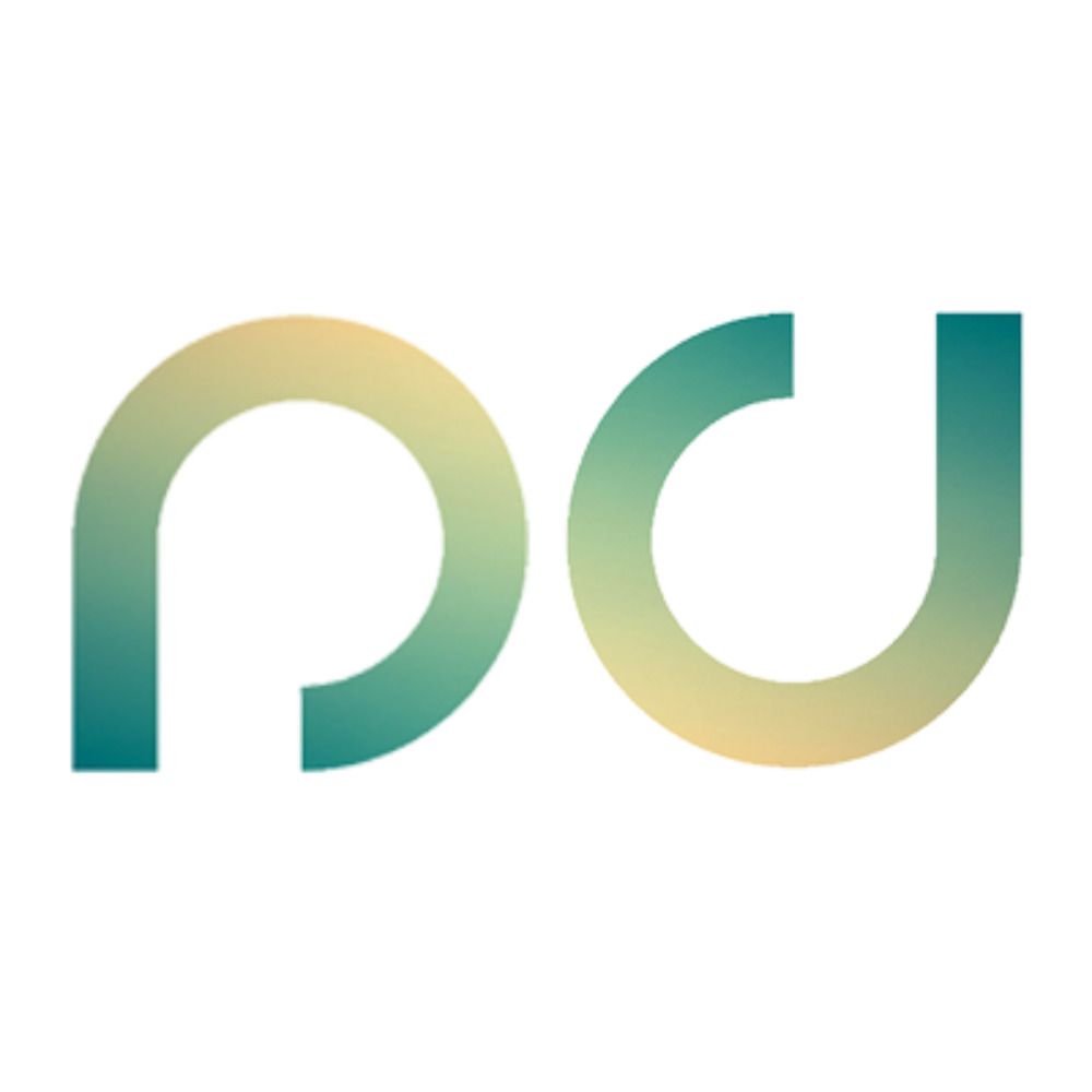 Pulsar Dimension