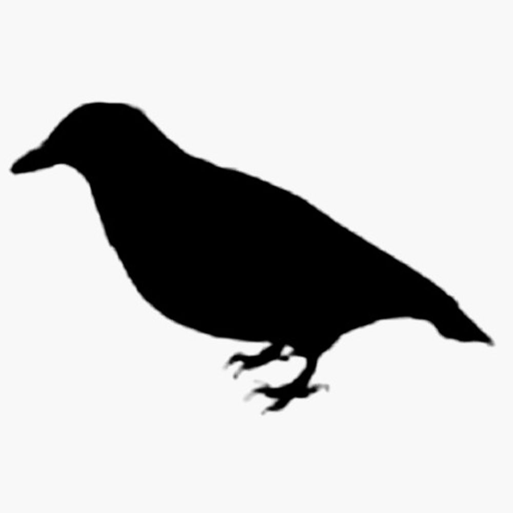 すずこ