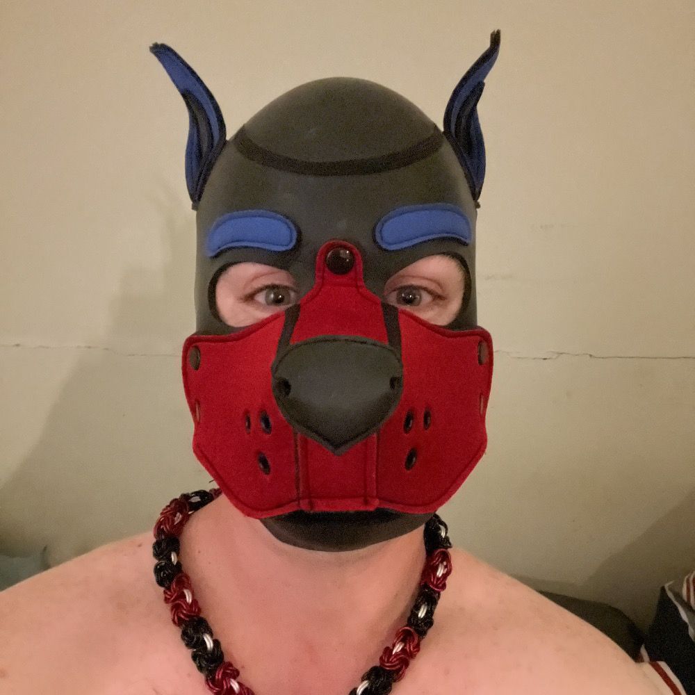 Pup Curtis