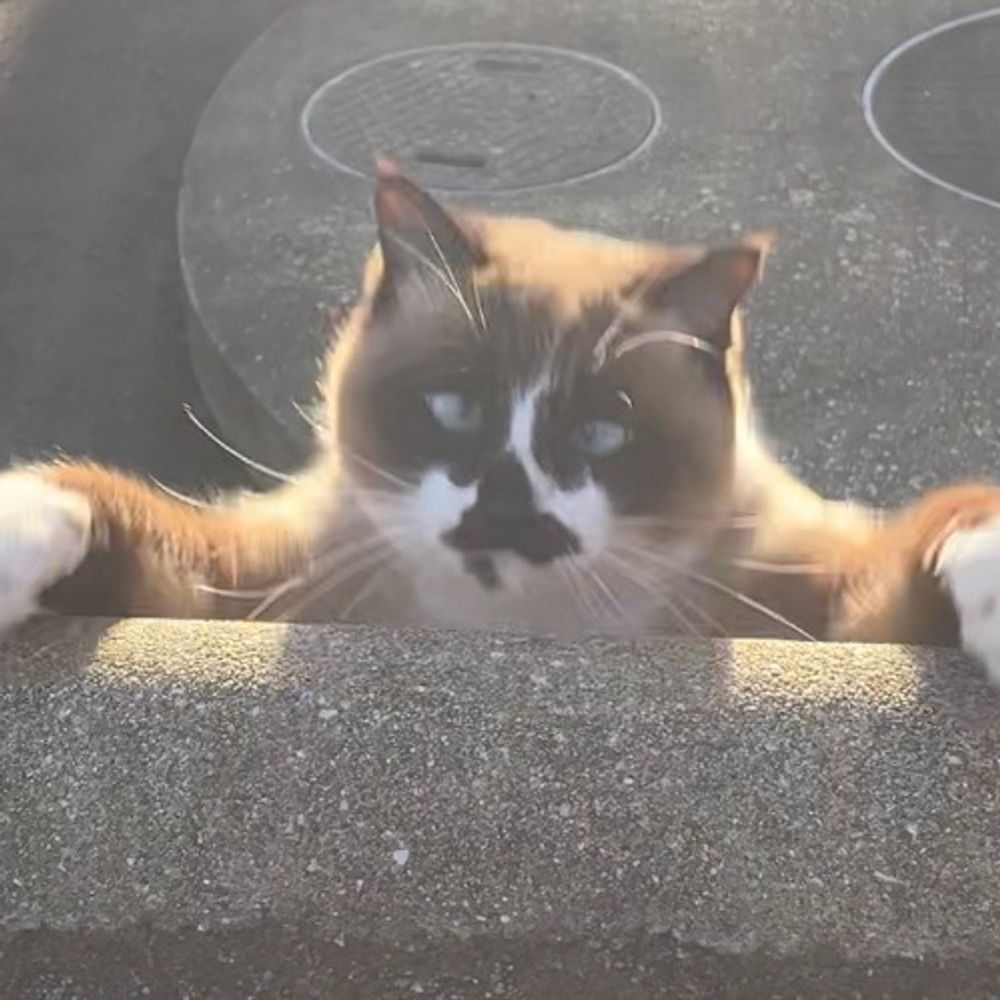 ななさき