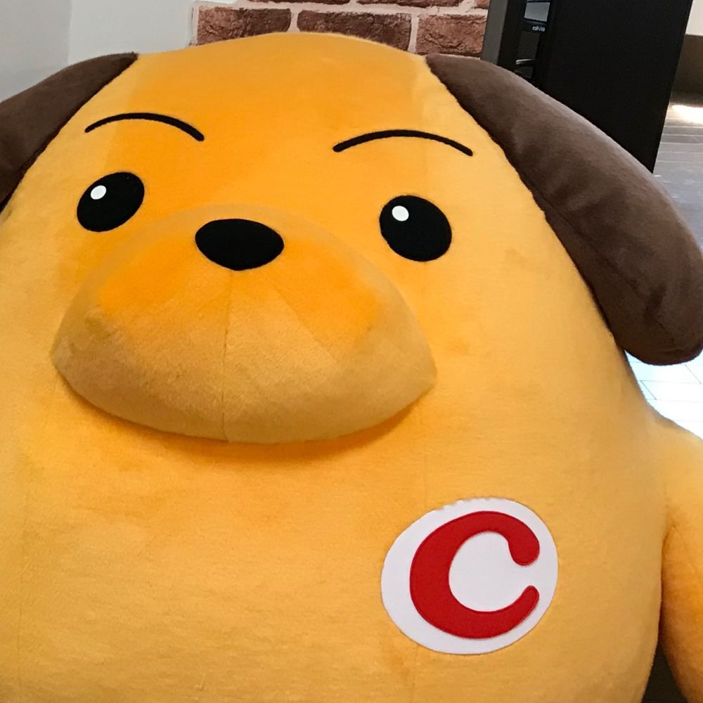 malfoymalfoy.bsky.social