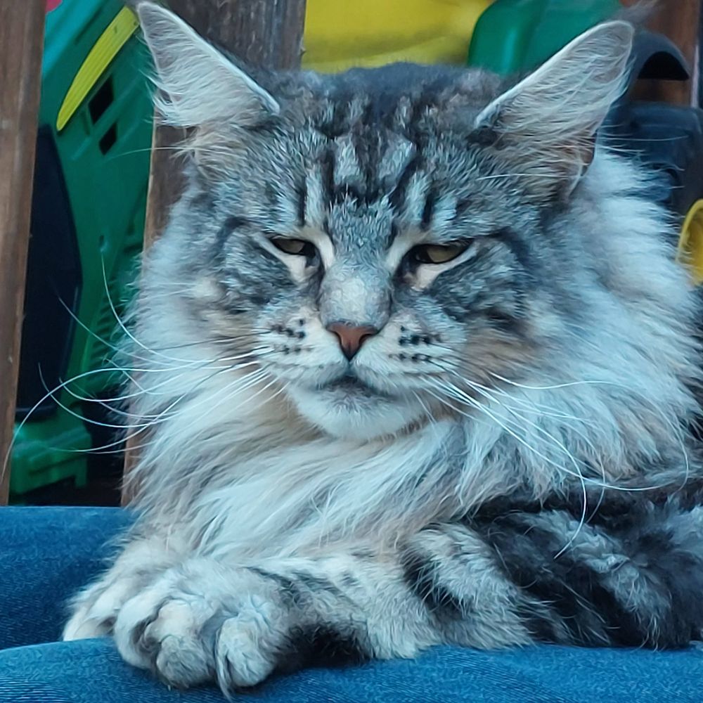 Percy