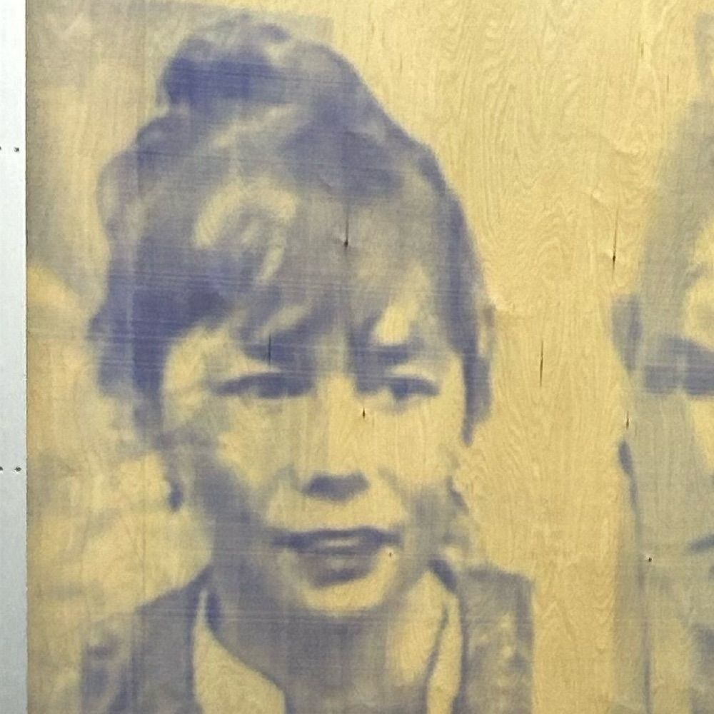 Mei Li Vos