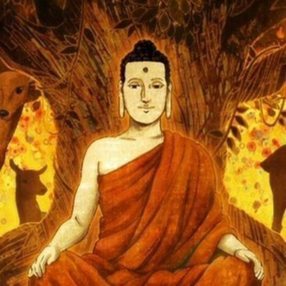 부처