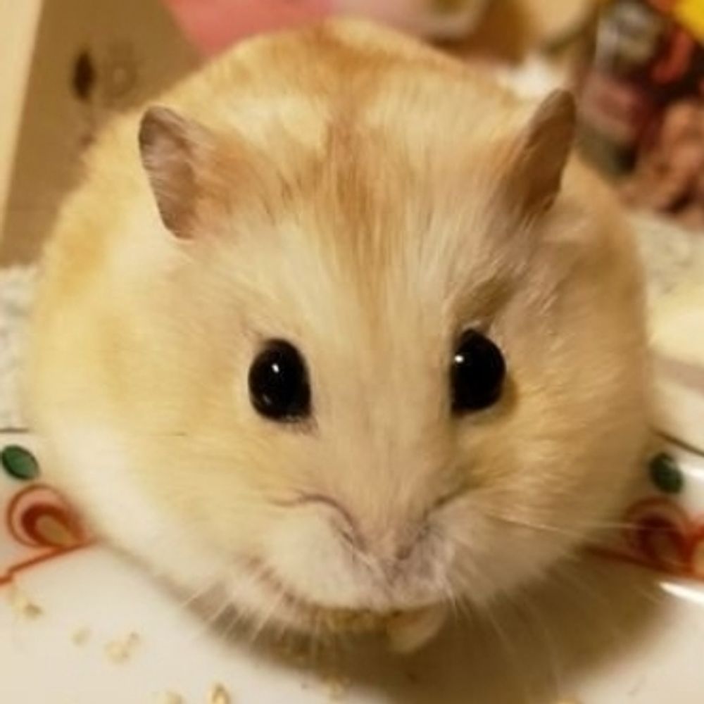 つー