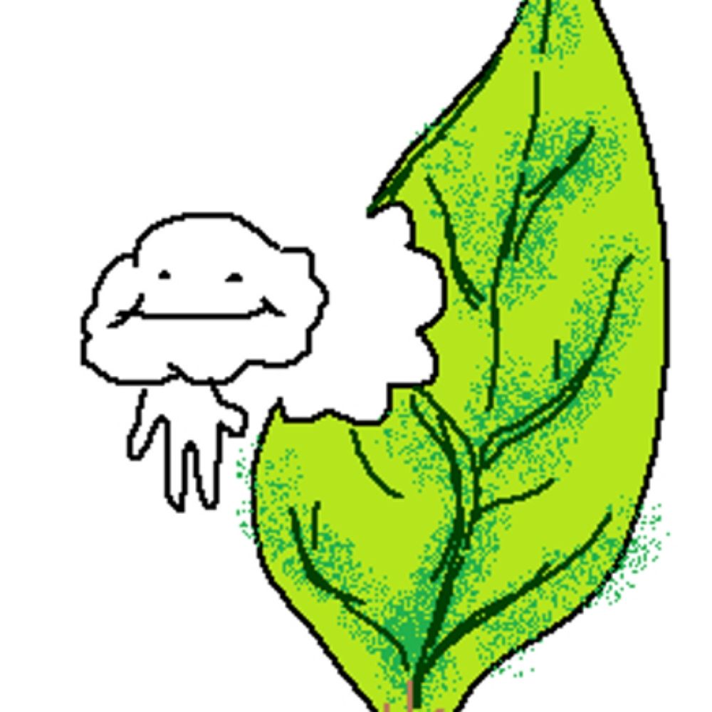 Leaf