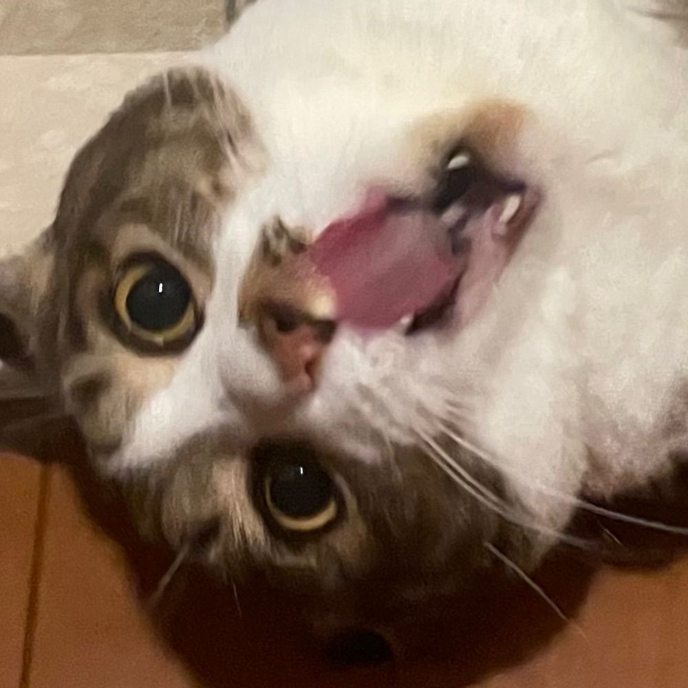 こうき