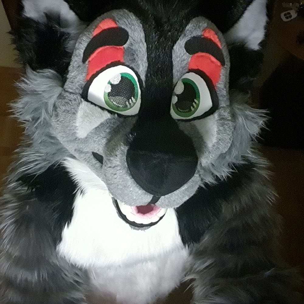 Dex Wolf 🐺🐾