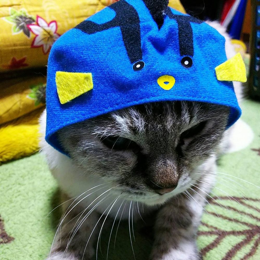 たくぼん