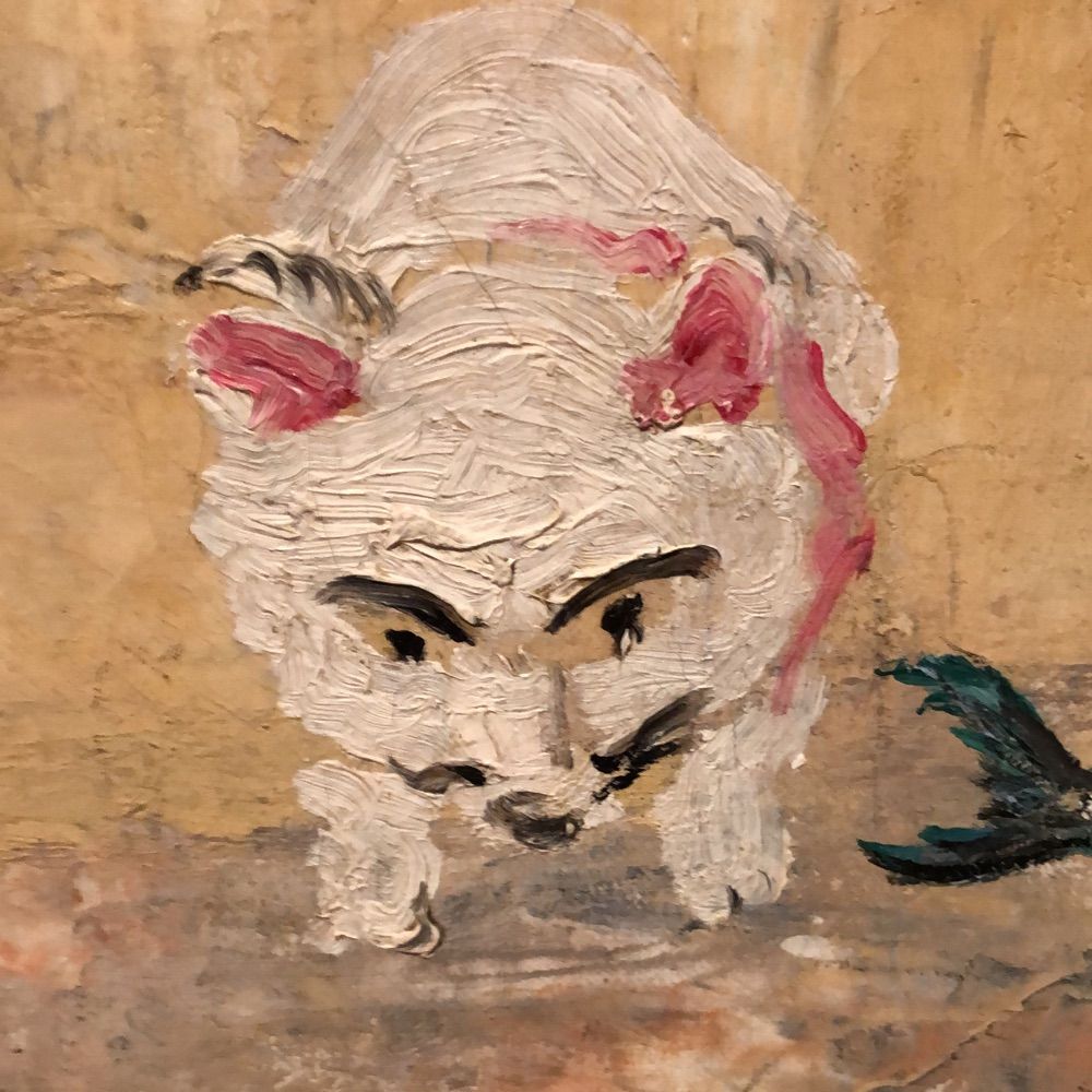 Jasper Rigole