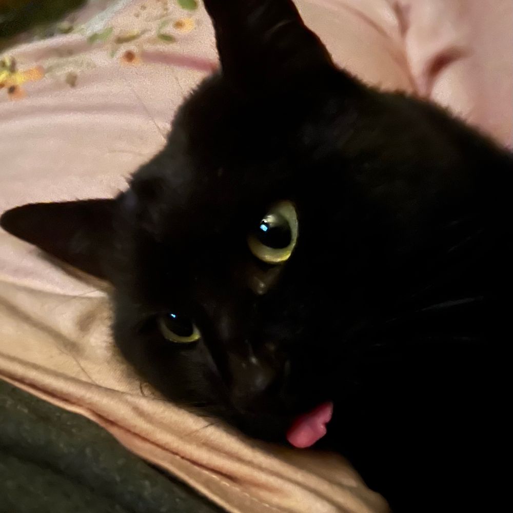 Dylan