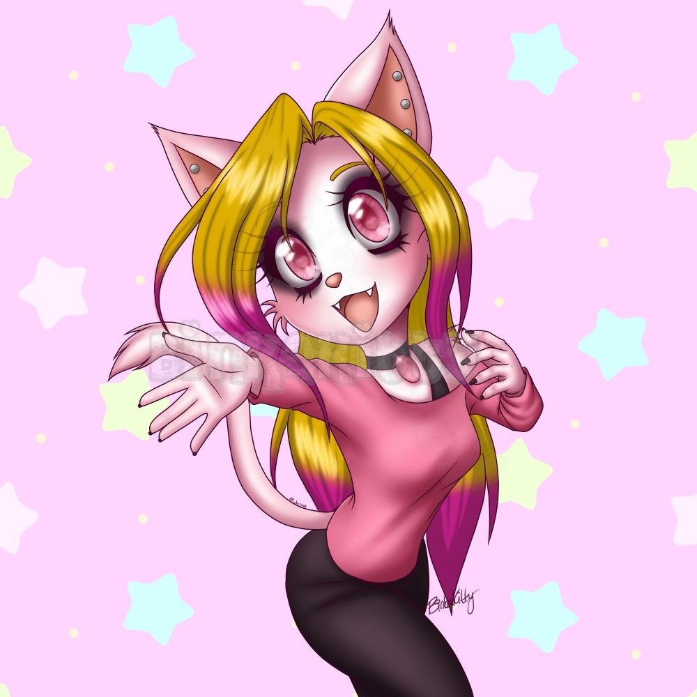 BinkaKitty