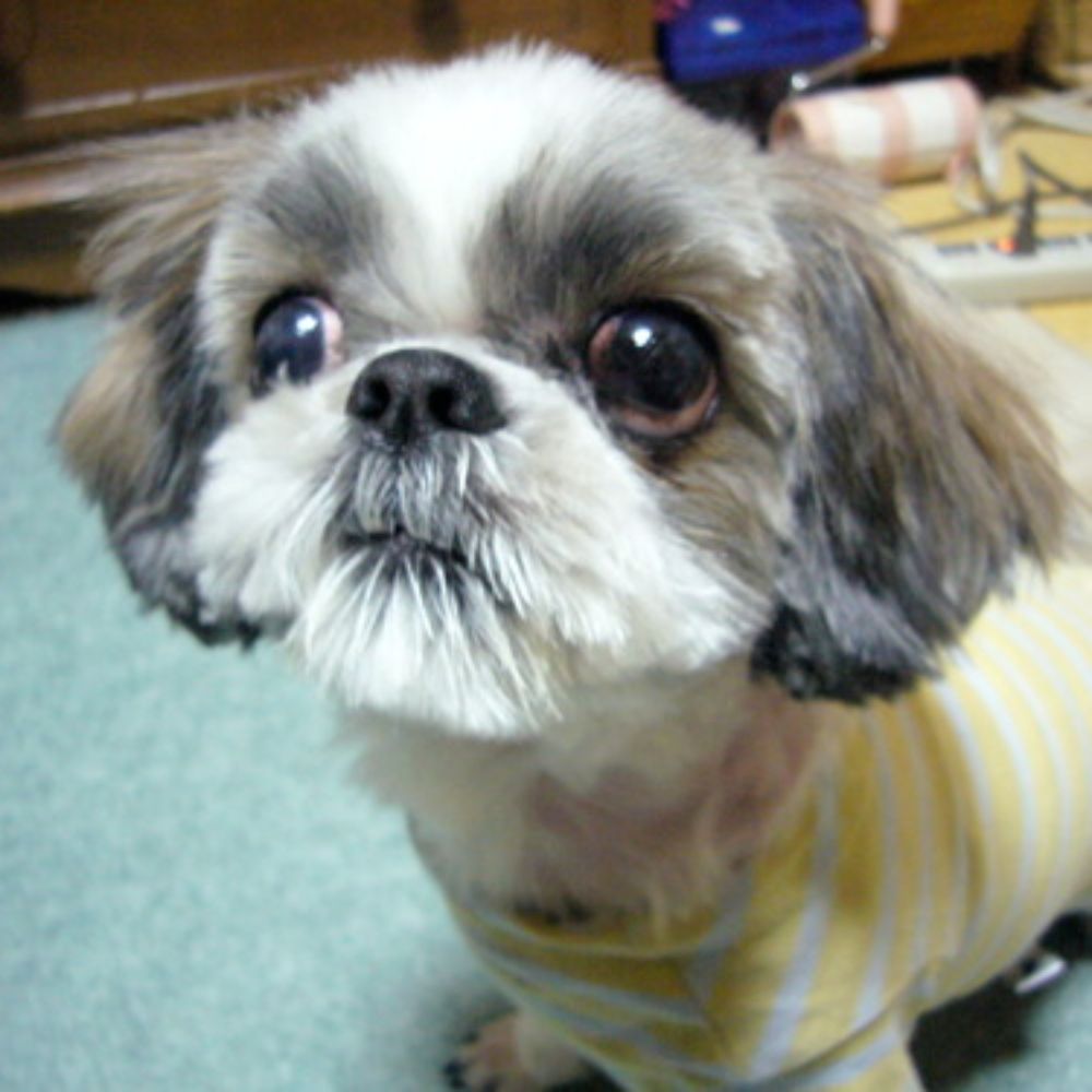 ゆな