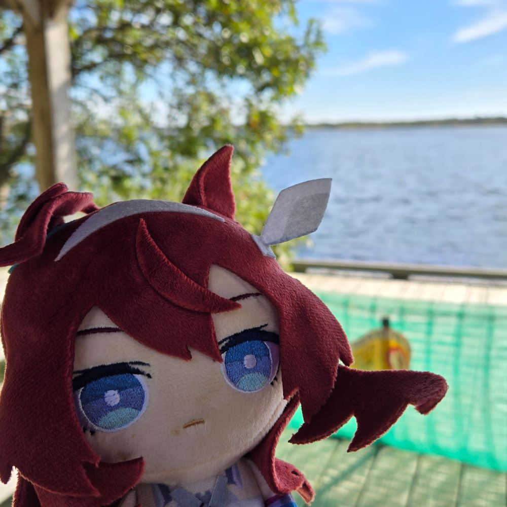 toyu